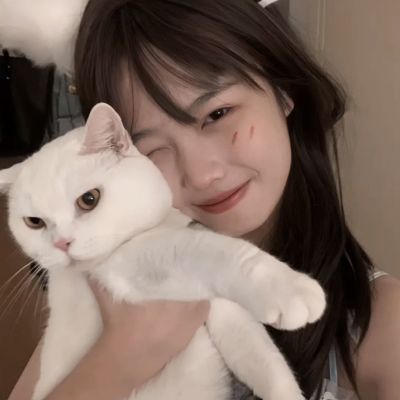 万博·体育下载手机版